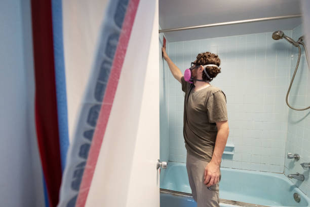 Best Mold Removal for HVAC Installations  in Pine Castle, FL