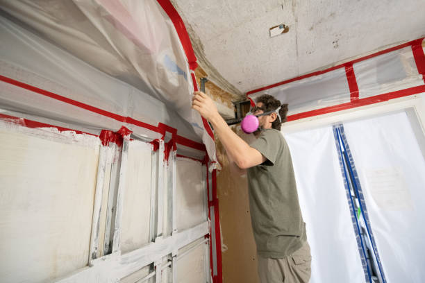 Best Industrial Mold Remediation  in Pine Castle, FL