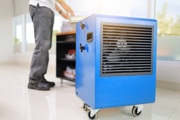 Best Indoor Air Quality Assessment  in Pine Castle, FL