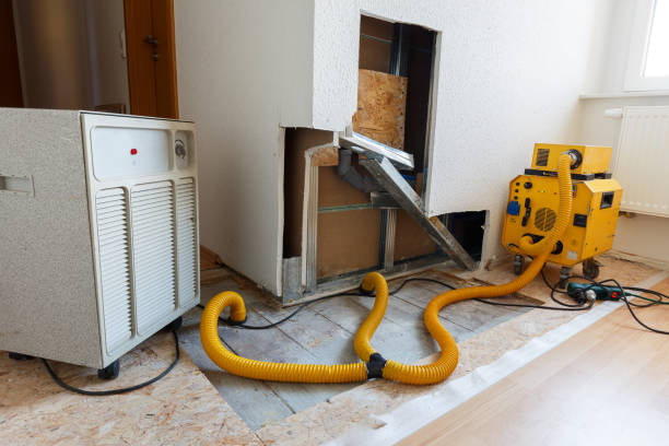 Best Air Quality Testing for Mold Spores  in Pine Castle, FL